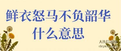 诠释鲜衣怒马不负韶华什么意思