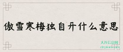 傲雪寒梅独自开什么意思
