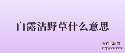 浅析白露沾野草什么意思