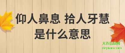 谈论仰人鼻息 拾人牙慧是什么意思
