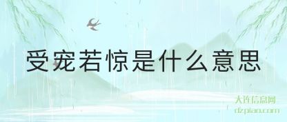 解惑受宠若惊是什么意思