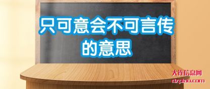 说说只可意会不可言传的意思