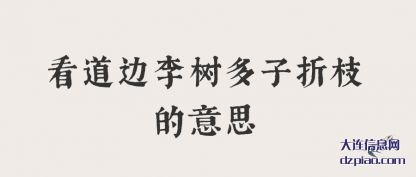 分享看道边李树多子折枝的意思