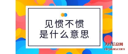 聊聊见惯不惯是什么意思