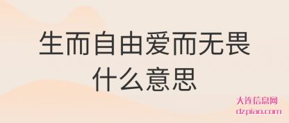 理解生而自由爱而无畏什么意思