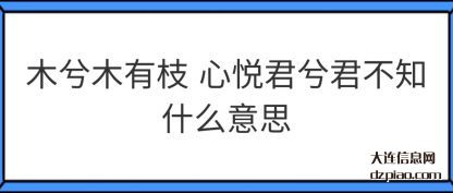 木兮木有枝 心悦君兮君不知什么意思