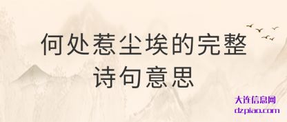 何处惹尘埃的完整诗句意思
