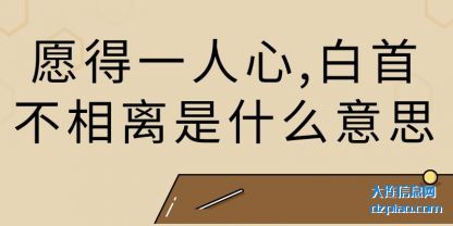 详解愿得一人心,白首不相离是什么意思