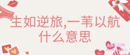 解说生如逆旅,一苇以航什么意思
