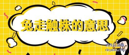 概括兔走触株的意思
