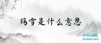 说说殇雪是什么意思