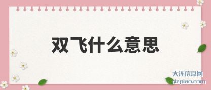 分析双飞什么意思