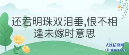 谈论还君明珠双泪垂,恨不相逢未嫁时意思