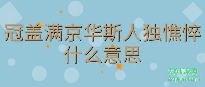 总结冠盖满京华斯人独憔悴什么意思