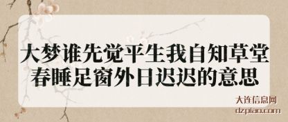 解答大梦谁先觉平生我自知草堂春睡足窗外日迟迟的意思