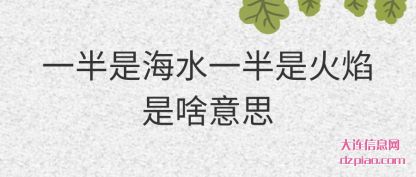 谈论一半是海水一半是火焰是啥意思