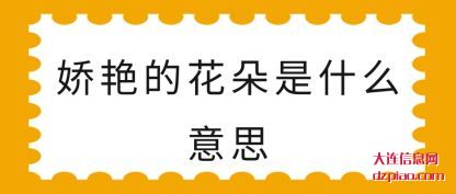 聊聊娇艳的花朵是什么意思