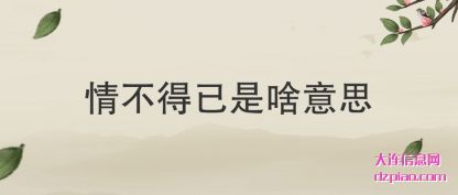 浅析情不得已是啥意思