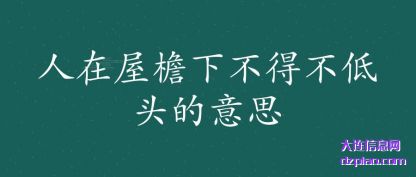 聊聊人在屋檐下不得不低头的意思