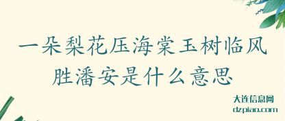 理会一朵梨花压海棠玉树临风胜潘安是什么意思