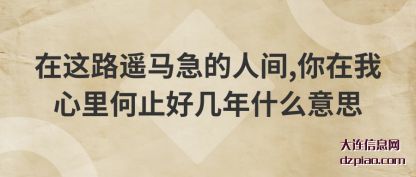 分享在这路遥马急的人间,你在我心里何止好几年什么意思