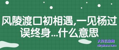解析风陵渡口初相遇,一见杨过误终身...什么意思