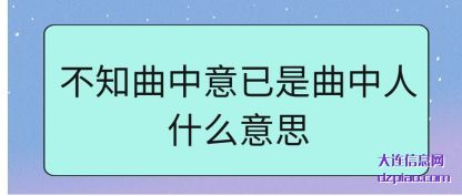总结不知曲中意已是曲中人什么意思