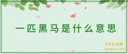 认识一匹黑马是什么意思