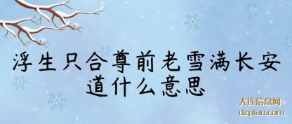 聊聊浮生只合尊前老雪满长安道什么意思
