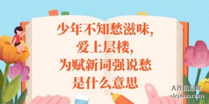 解说少年不知愁滋味,爱上层楼,为赋新词强说愁是什么意思
