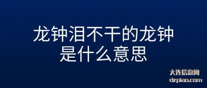 说明龙钟泪不干的龙钟是什么意思