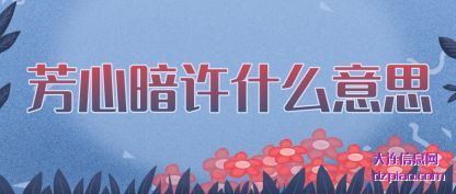 芳心暗许什么意思
