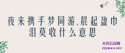 详解夜来携手梦同游,晨起盈巾泪莫收什么意思