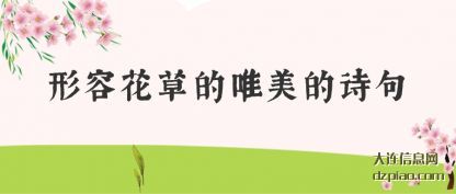 解读形容花草的唯美的诗句