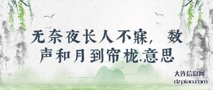 概括无奈夜长人不寐,数声和月到帘栊.意思