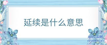解读延续是什么意思
