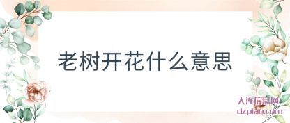 诠释老树开花什么意思