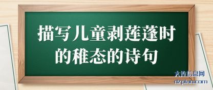 解读描写儿童剥莲蓬时的稚态的诗句
