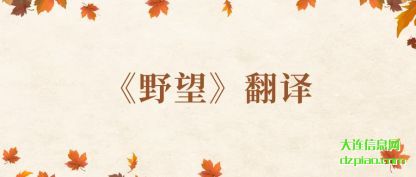 总结《野望》翻译