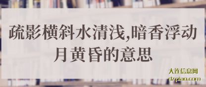 了解疏影横斜水清浅,暗香浮动月黄昏的意思