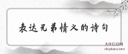 谈论表达兄弟情义的诗句