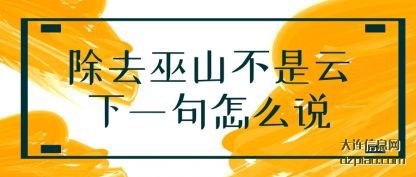 谈谈除去巫山不是云下一句怎么说