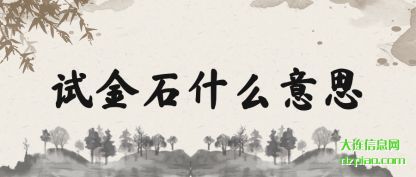 理会试金石什么意思