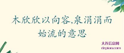 知晓木欣欣以向容,泉涓涓而始流的意思