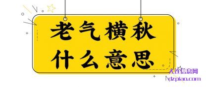 推荐老气横秋什么意思