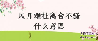 注解风月难扯离合不骚什么意思