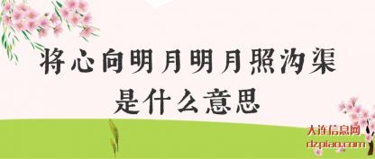 介绍将心向明月明月照沟渠是什么意思