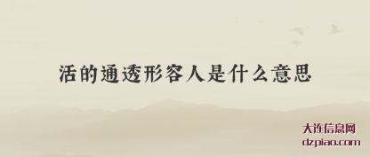 解读活的通透形容人是什么意思