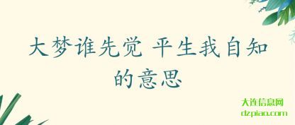 分析大梦谁先觉 平生我自知的意思