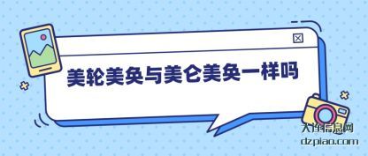 剖析美轮美奂与美仑美奂一样吗